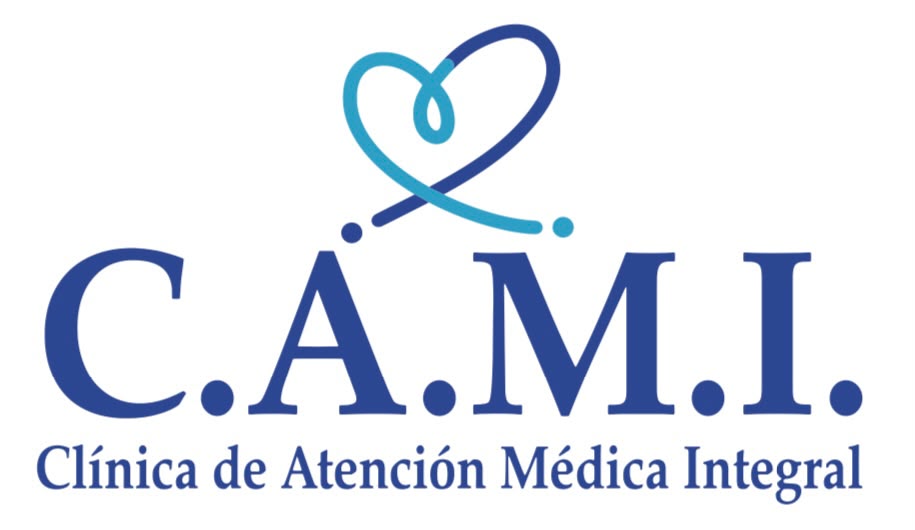 Logo CAMI